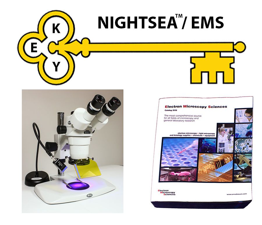 EMS宣布收購美國NIGHTSEA公司